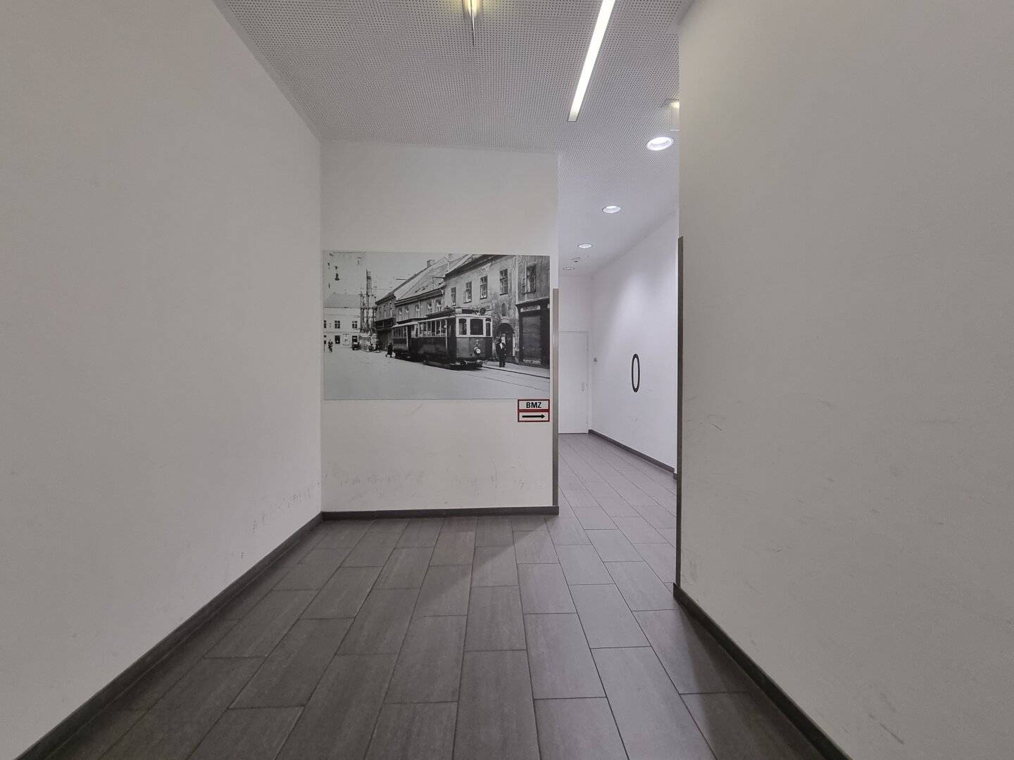 Versatile basement space: ideal storage space for storage, hobby, craft and business