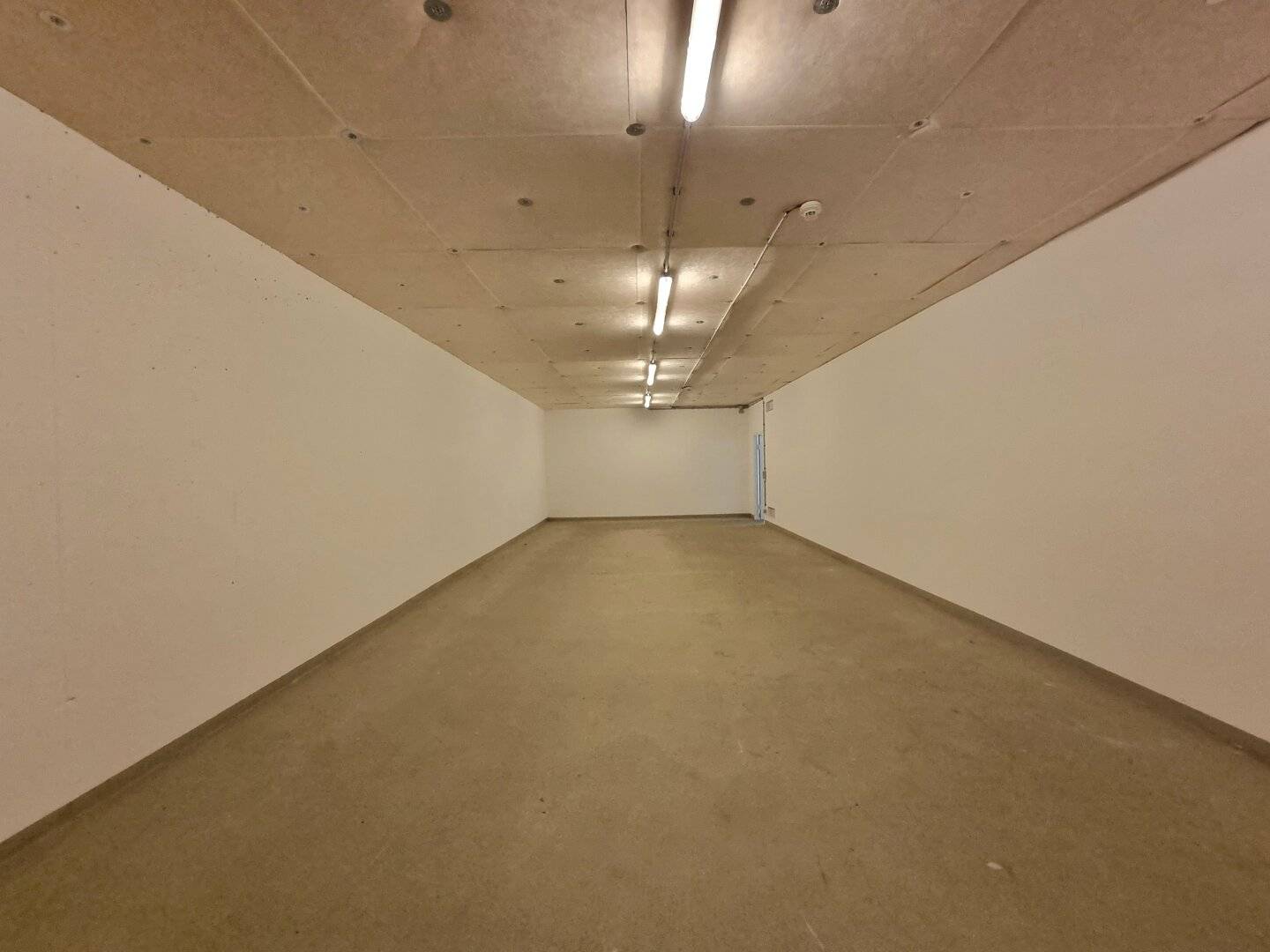 Versatile basement space: ideal storage space for storage, hobby, craft and business