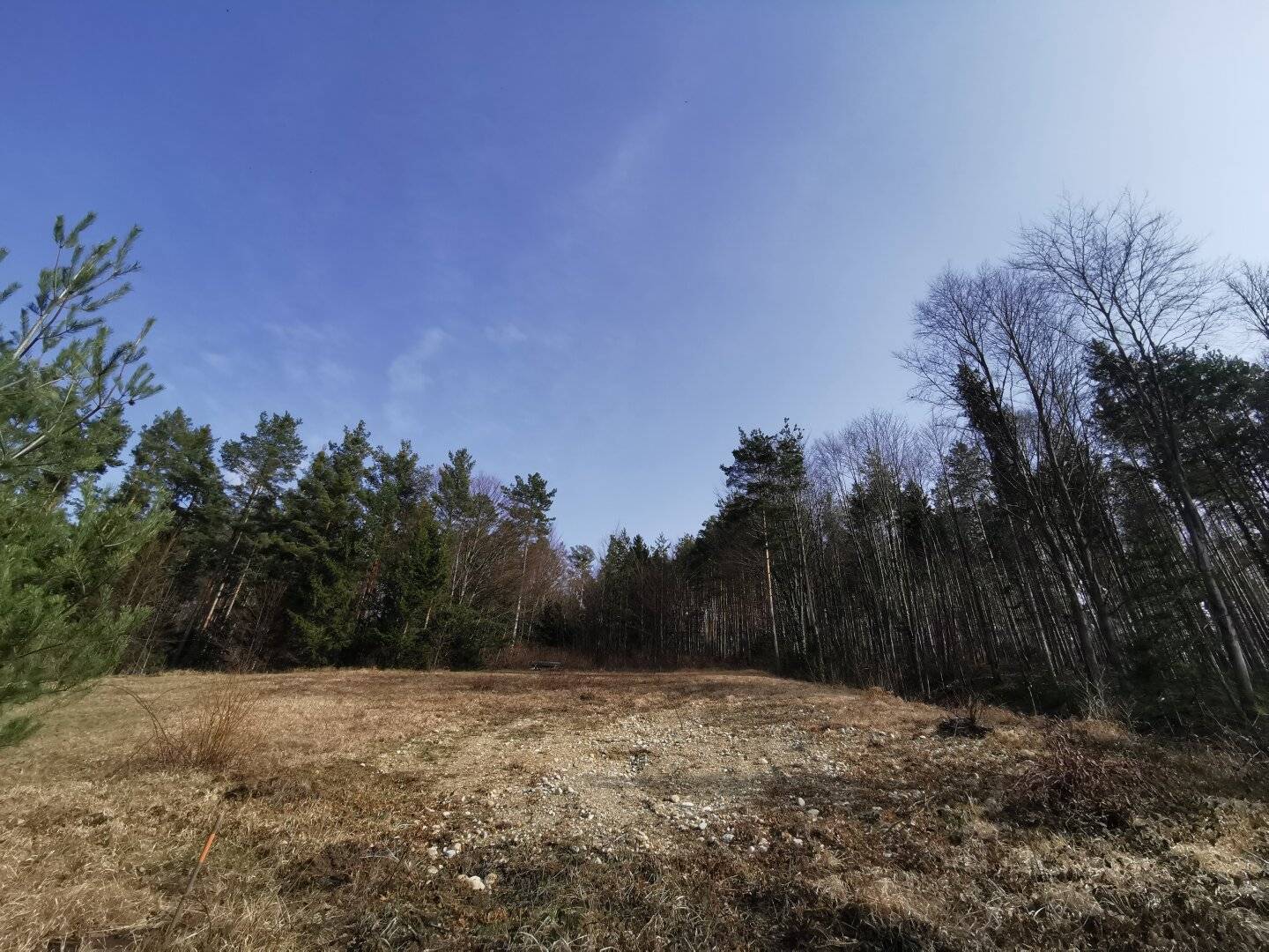 Baugrundstück mit traumhaften Fernblick in ruhiger Lage