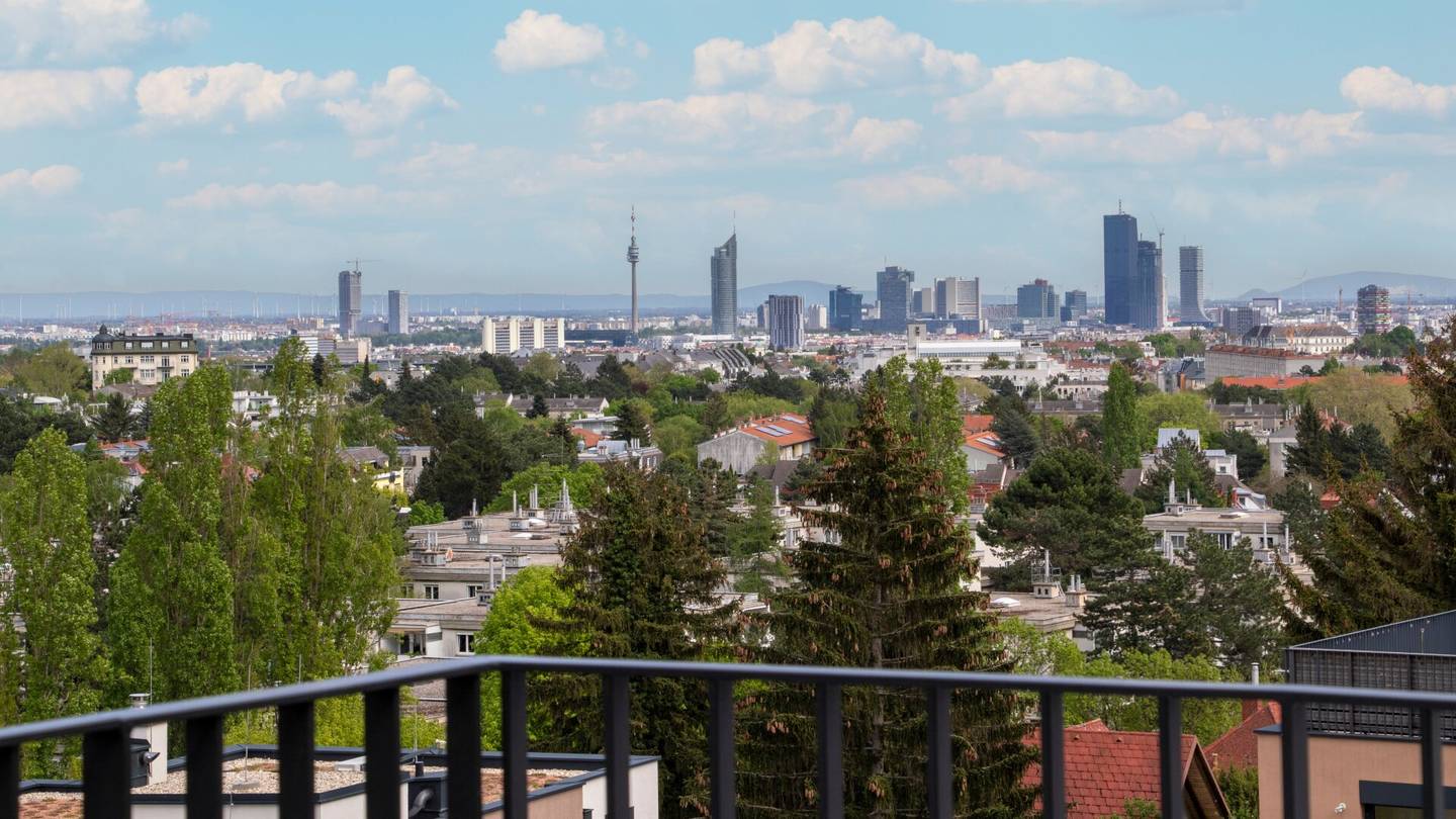 Fernblick
