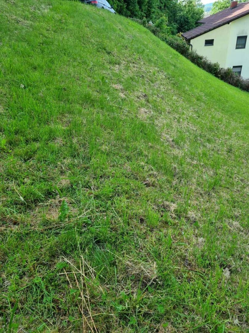 Baugrundstück in 4111 Walding