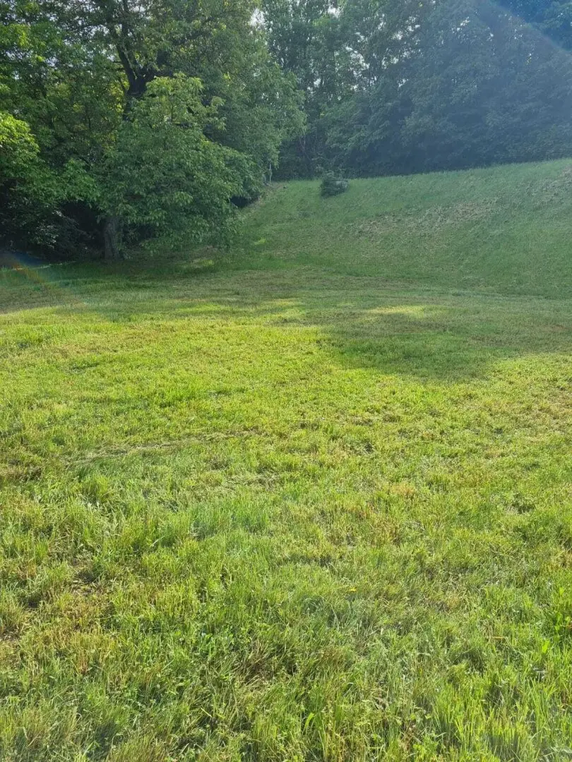 Building plot in 4111 Walding
