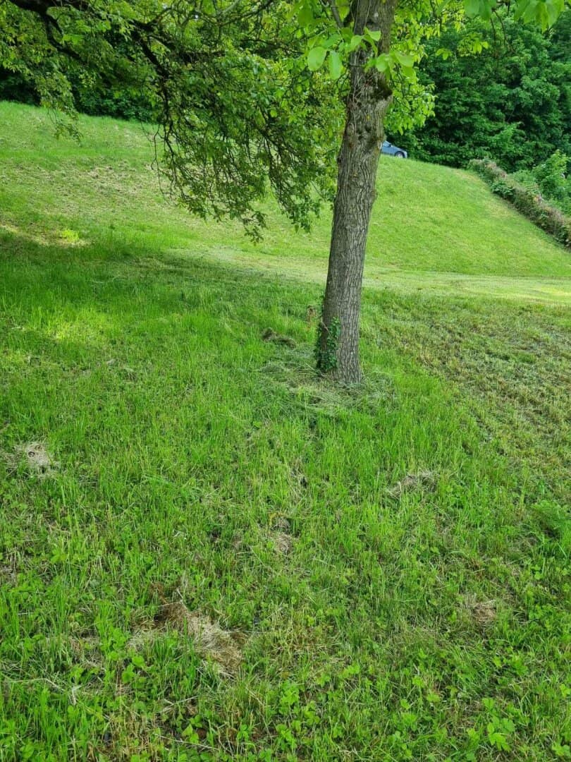 Baugrundstück in 4111 Walding