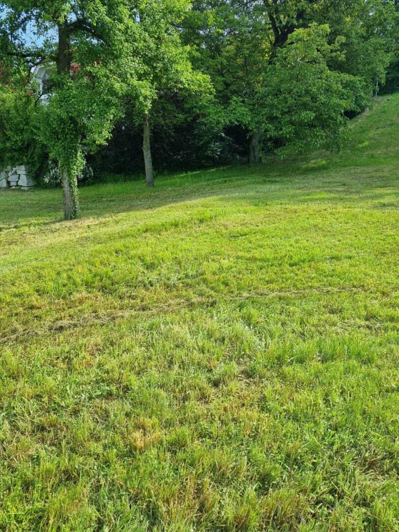 Baugrundstück in 4111 Walding