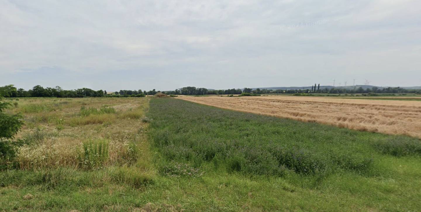 Großzügige Gewerbefläche in Antau: 24.561 m² für VB 1,2 Mio. €