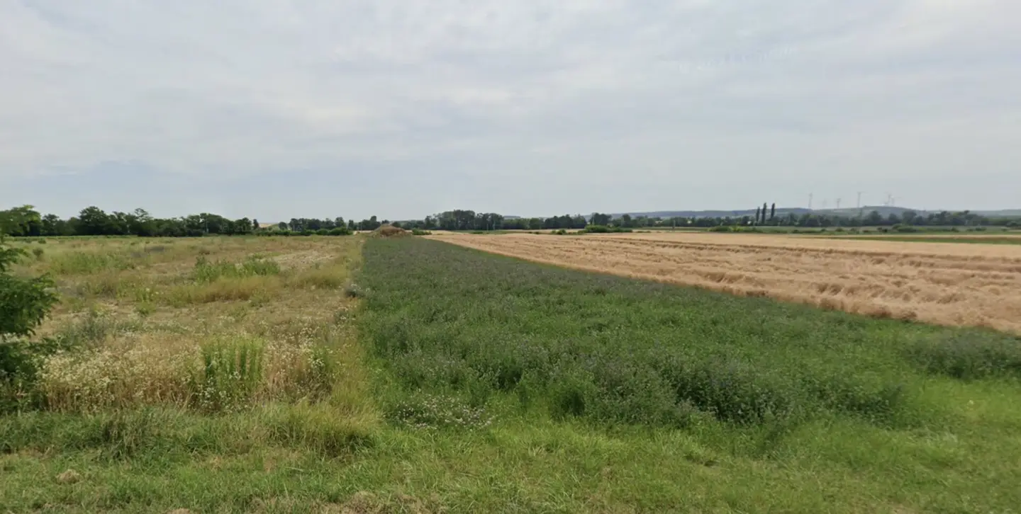 Großzügige Gewerbefläche in Antau: 24.561 m² für VB 1,2 Mio. €