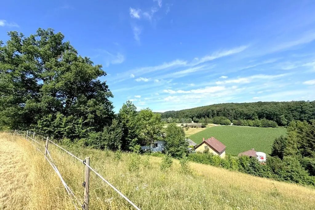 Absolute peace. Scenic location. Cul de sac. Surrounded by grassland.