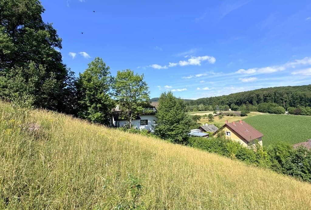 Absolute Ruhe. Aussichtslage. Sackgasse. Rundherum Grünland.