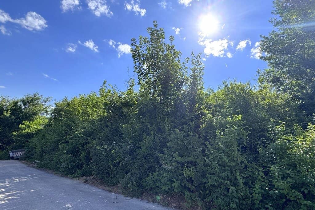 Absolute Ruhe. Aussichtslage. Sackgasse. Rundherum Grünland.