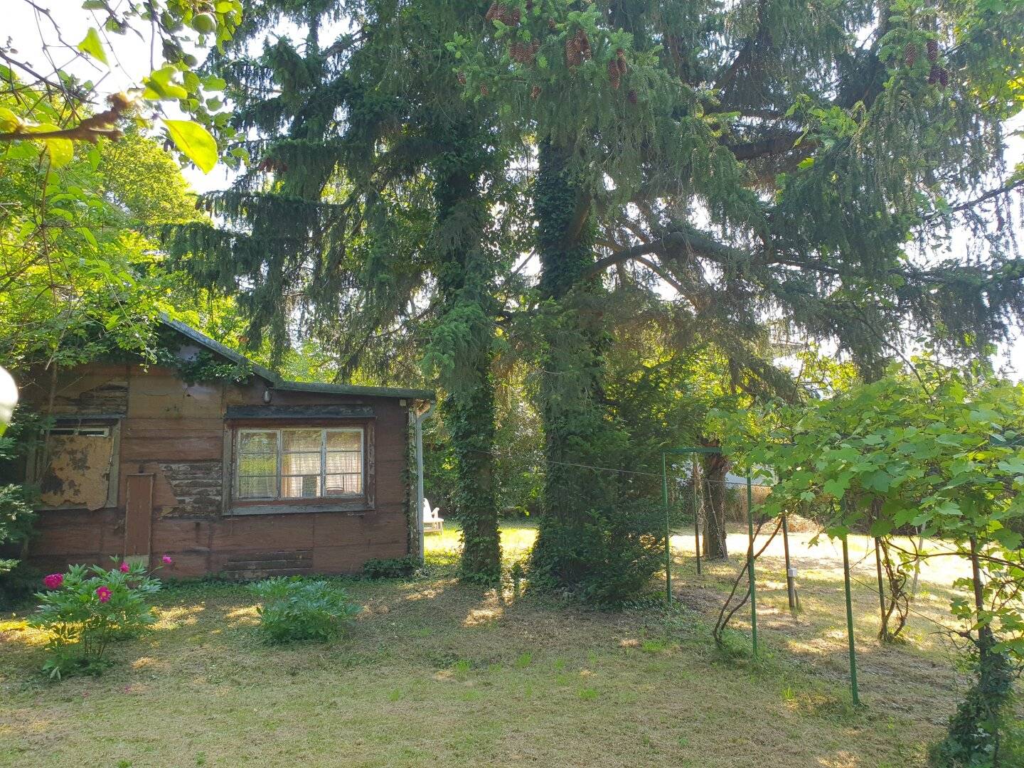 Building plot at Schafberg: Realize your dream home in an exclusive location