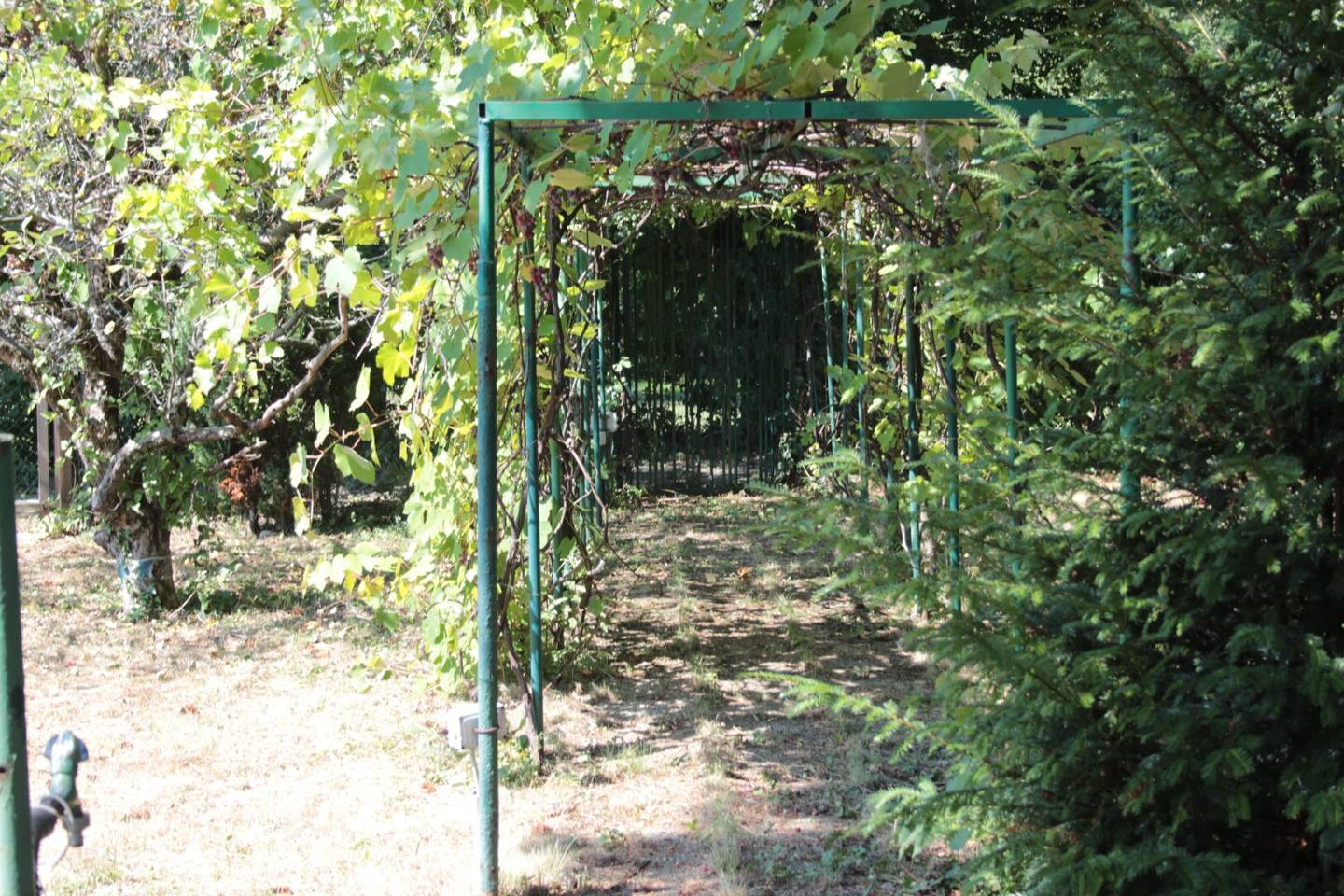 Building plot at Schafberg: Realize your dream home in an exclusive location