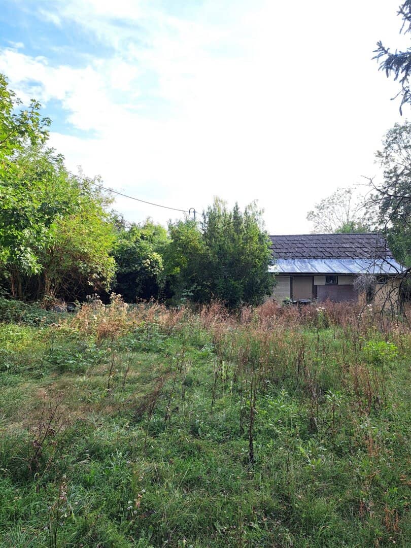Building plot at Schafberg: Realize your dream home in an exclusive location