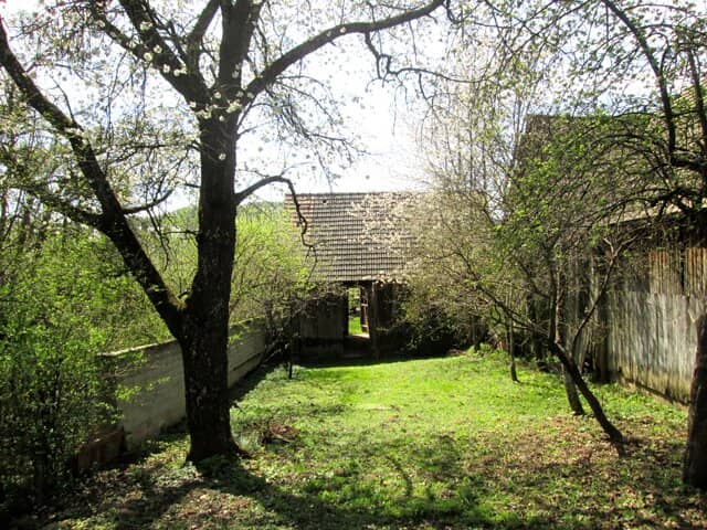 Interessantes kleines Haus in Ortslage mit idyllischen Gärten und Nebengebäuden!
