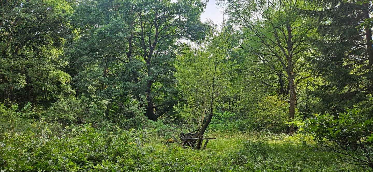 *** NATURPARADIES *** GARTENFREUDE *** IDYLLE PUR ***