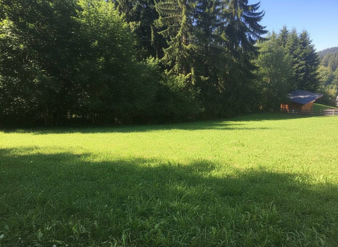 Baugrund am Weerberg in unverbaubarer Lage zu verkaufen