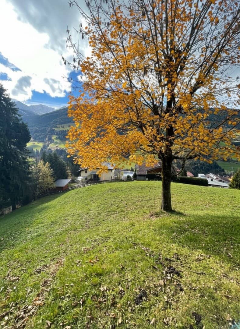Baugrund am Weerberg in unverbaubarer Lage zu verkaufen