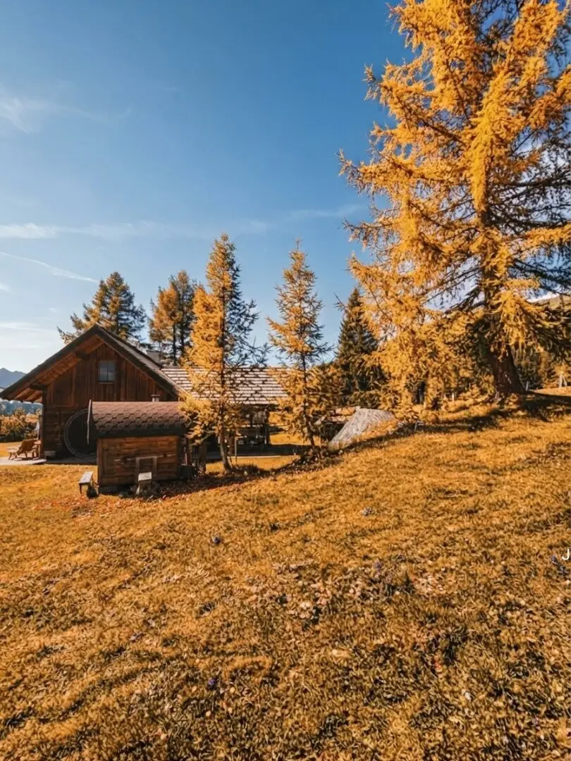 Private Alpine refuge with 8,000 m² of land and wide view at Maltaberg