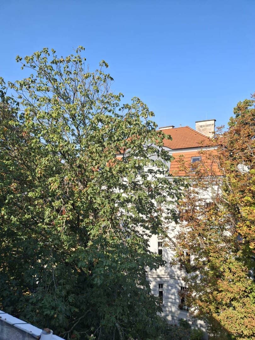 Unique opportunity in Hietzing's best location