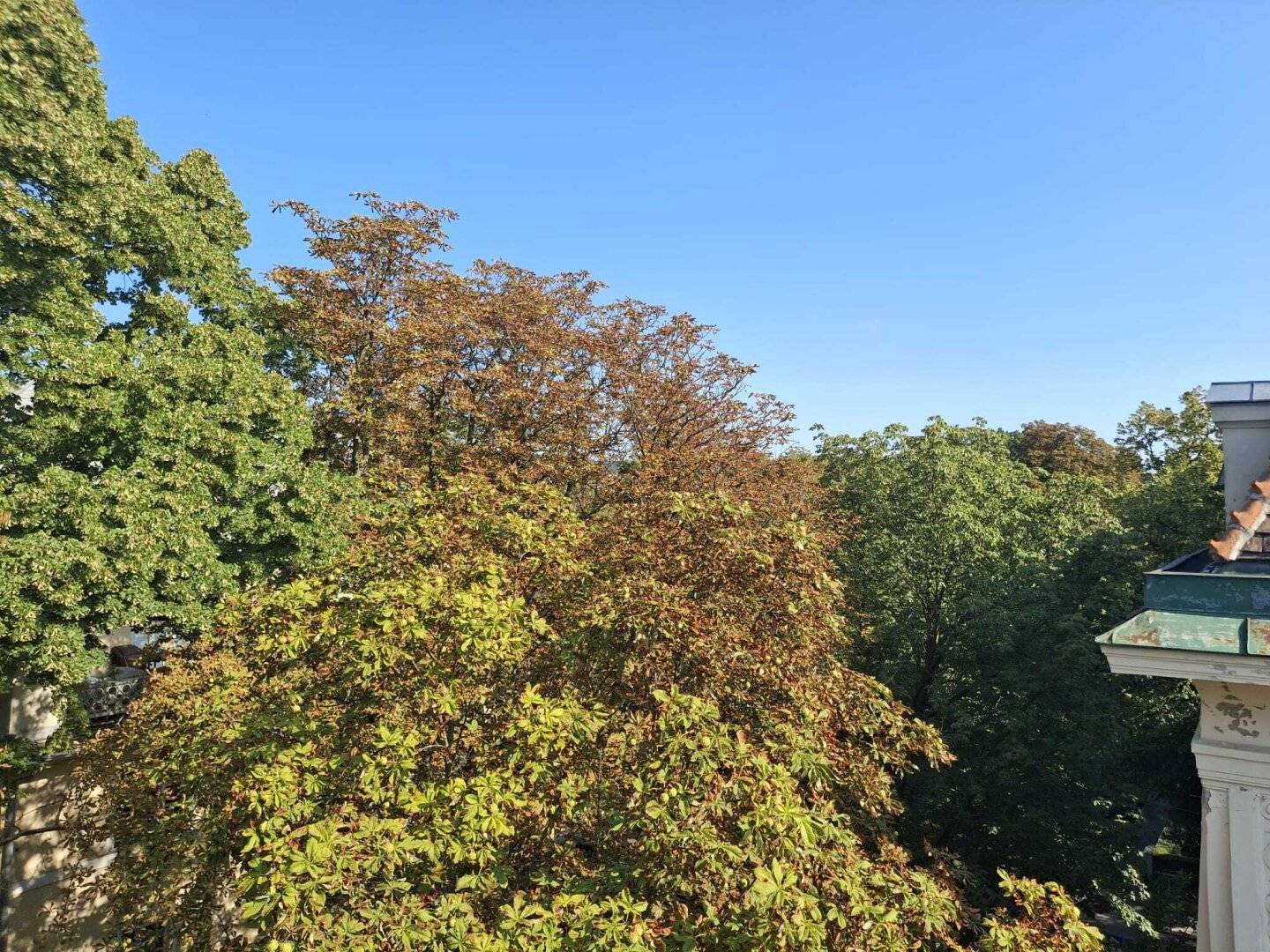 Unique opportunity in Hietzing's best location