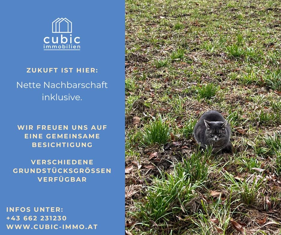 Bauen in St. Pantaleon_Grundstücksreserve am Grünland; Nähe Höllerersee