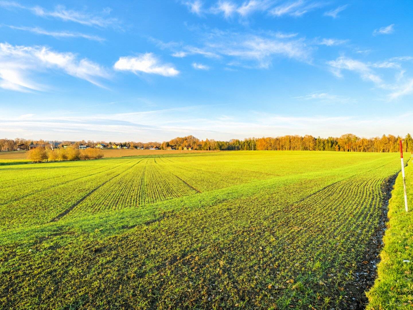 Gilgenberg am Weilhart - Außergewöhnlich attraktive landwirtschaftliche Nutzfläche