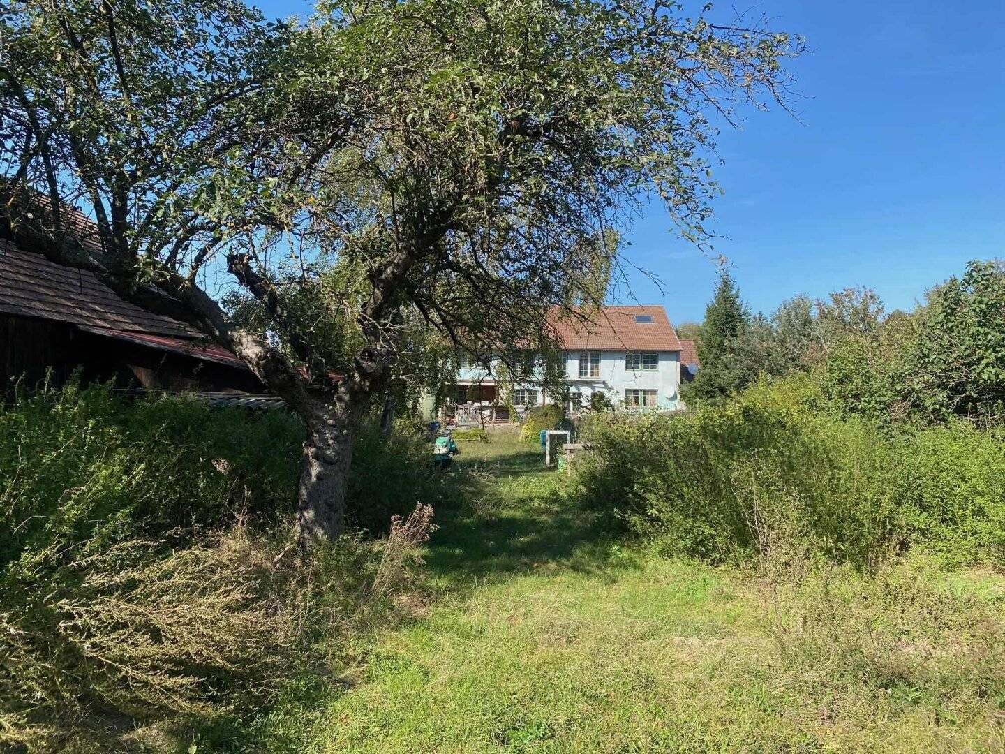WEINVIERTEL - nur 44km bis Wien: GEMEINSAM wohnen im Mehrfamilienhaus mit großem Garten, viel Potential und freier Baufläche