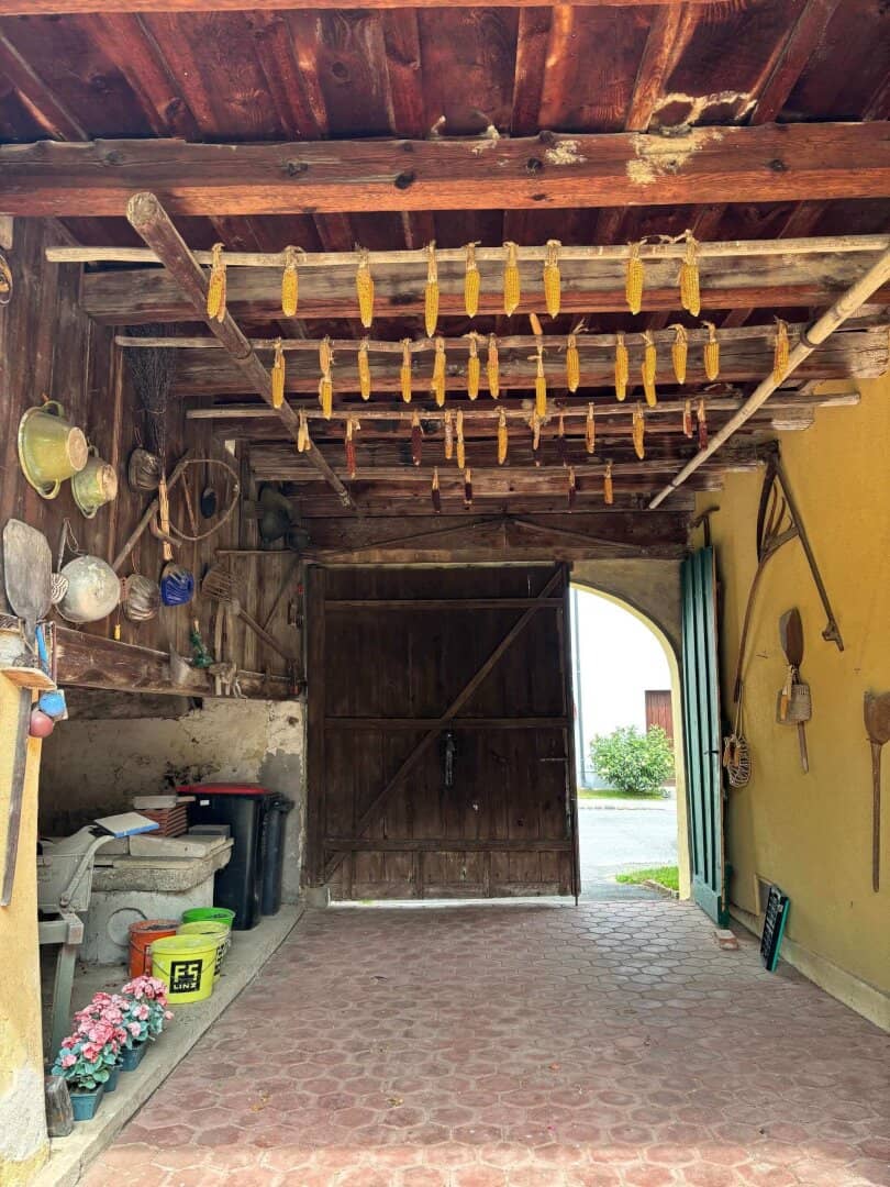 LANGECK/NÄHE KIRCHSCHLAG/LOCKENHAUS: VERTRÄUMTER BAUERNHOF MIT GROSSEM GARTEN/ANBAUFLÄCHE