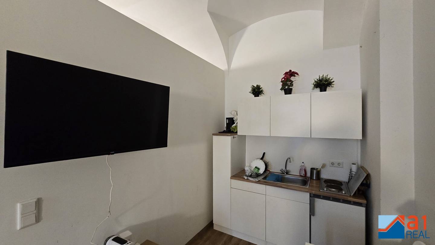 Modern living directly on the Danube fully furnished city location in Linz and deaus? no