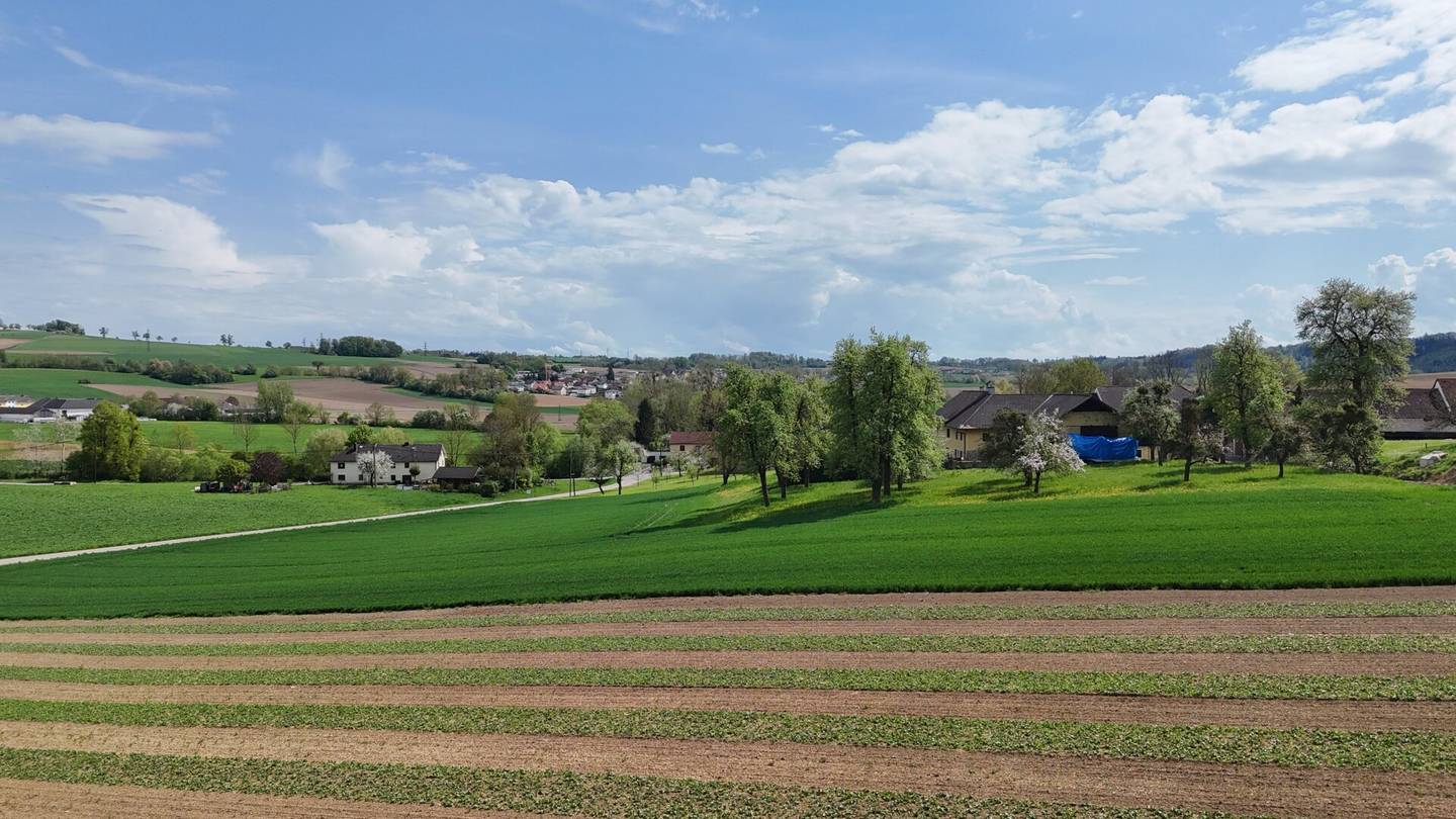 987 m² Bauland mit Widmung Dorfgebiet in Engerwitzdorf/Edtsdorf ohne Bauzwang + Option bis zu 9.643 m² Pachtgrund