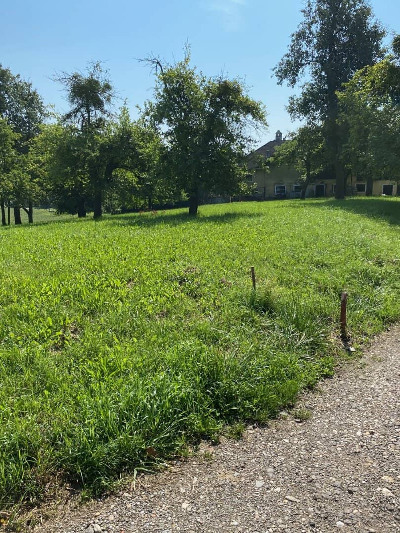 987 m² Bauland mit Widmung Dorfgebiet in Engerwitzdorf/Edtsdorf ohne Bauzwang
