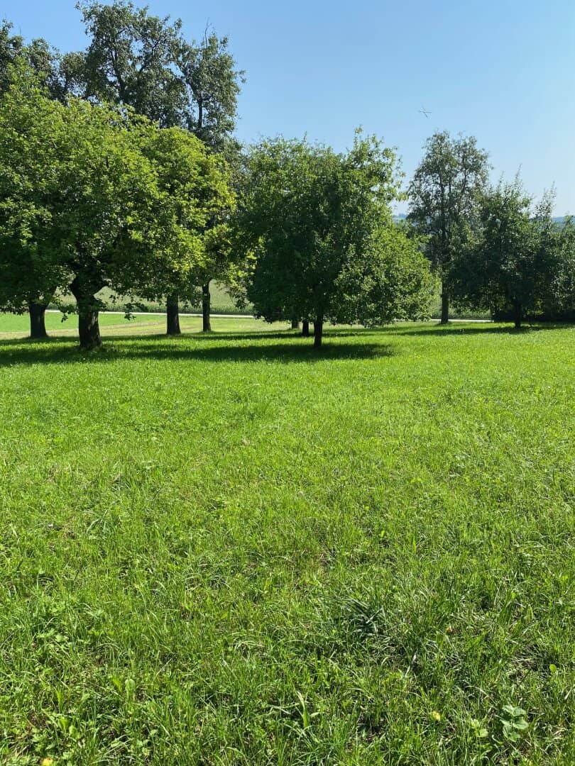 987 m² Bauland mit Widmung Dorfgebiet in Engerwitzdorf/Edtsdorf ohne Bauzwang