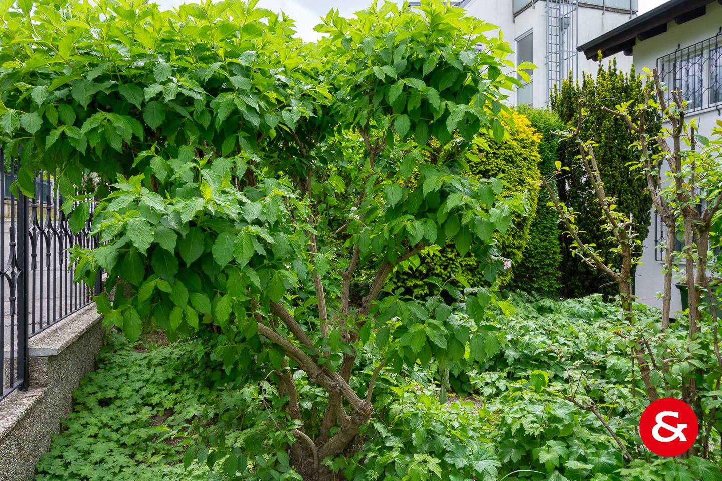 Wonderful semi detached house in green quiet location
