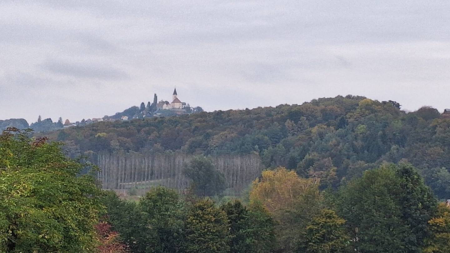 Touristisch ausgewiesenes Betriebsbauland in Waltra, St. Anna am Aigen  Südoststeiermark - 110.456m² zum Kauf !