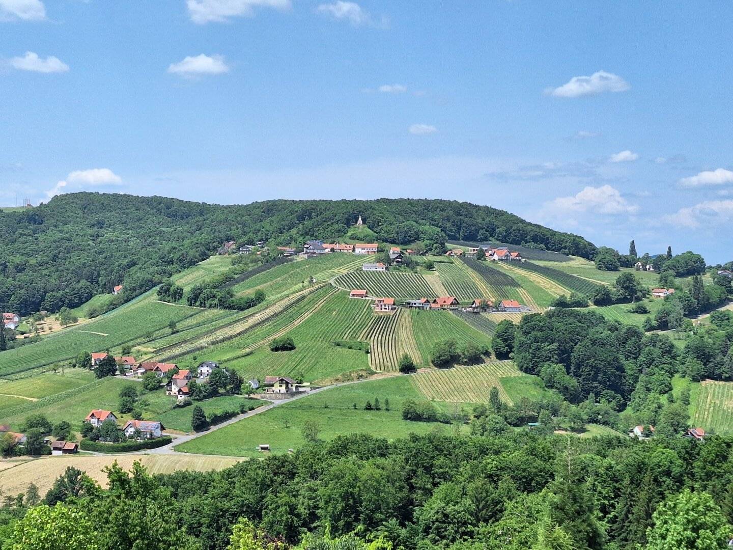 Touristisch ausgewiesenes Betriebsbauland in Waltra, St. Anna am Aigen  Südoststeiermark - 110.456m² zum Kauf !