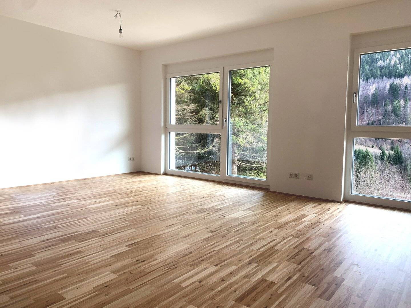 Immobilienbild 2