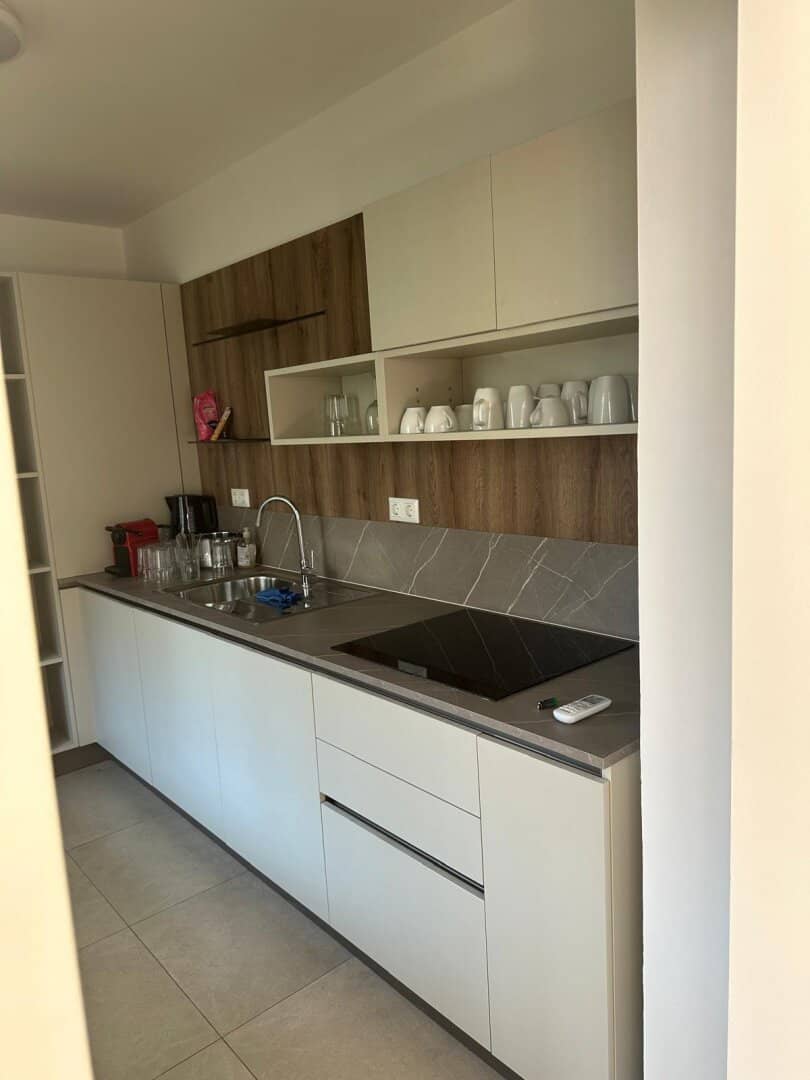 First Occupancy After Renovation Dream Luxury Property