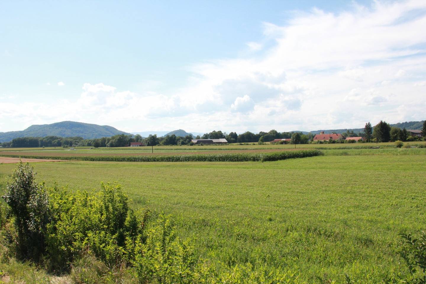 Perfekte Lage für Jungfamilien- Tolle Baugrundstücke für Ihr Traumhaus!