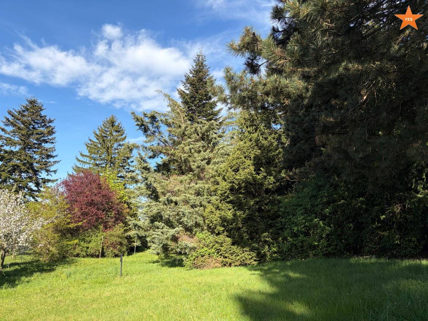 Provisionsfrei - Großzügiges Baugrundstück - mit Altbestand und herrlichem Garten