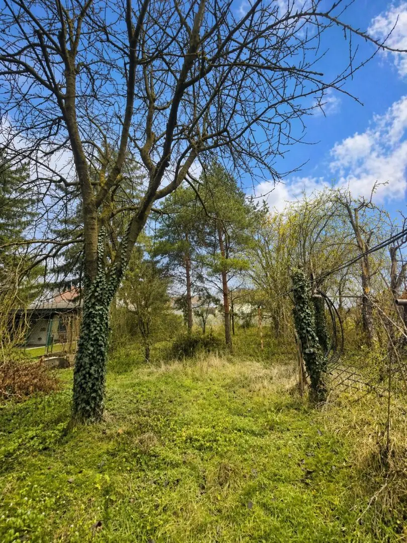 Wohnbaugrundstück in Oberlaa gegenüber dem Liesingbach