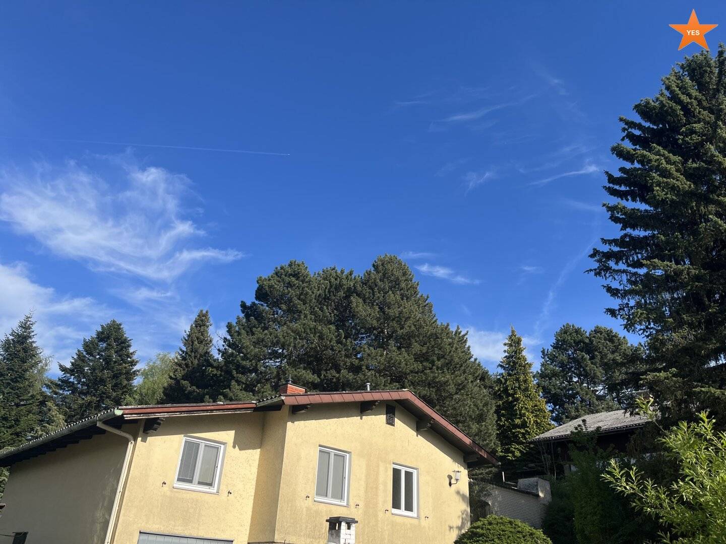Provisionsfrei - Herrliches, großzügiges Grundstück mit Einfamilienhaus und Altbaumbestand