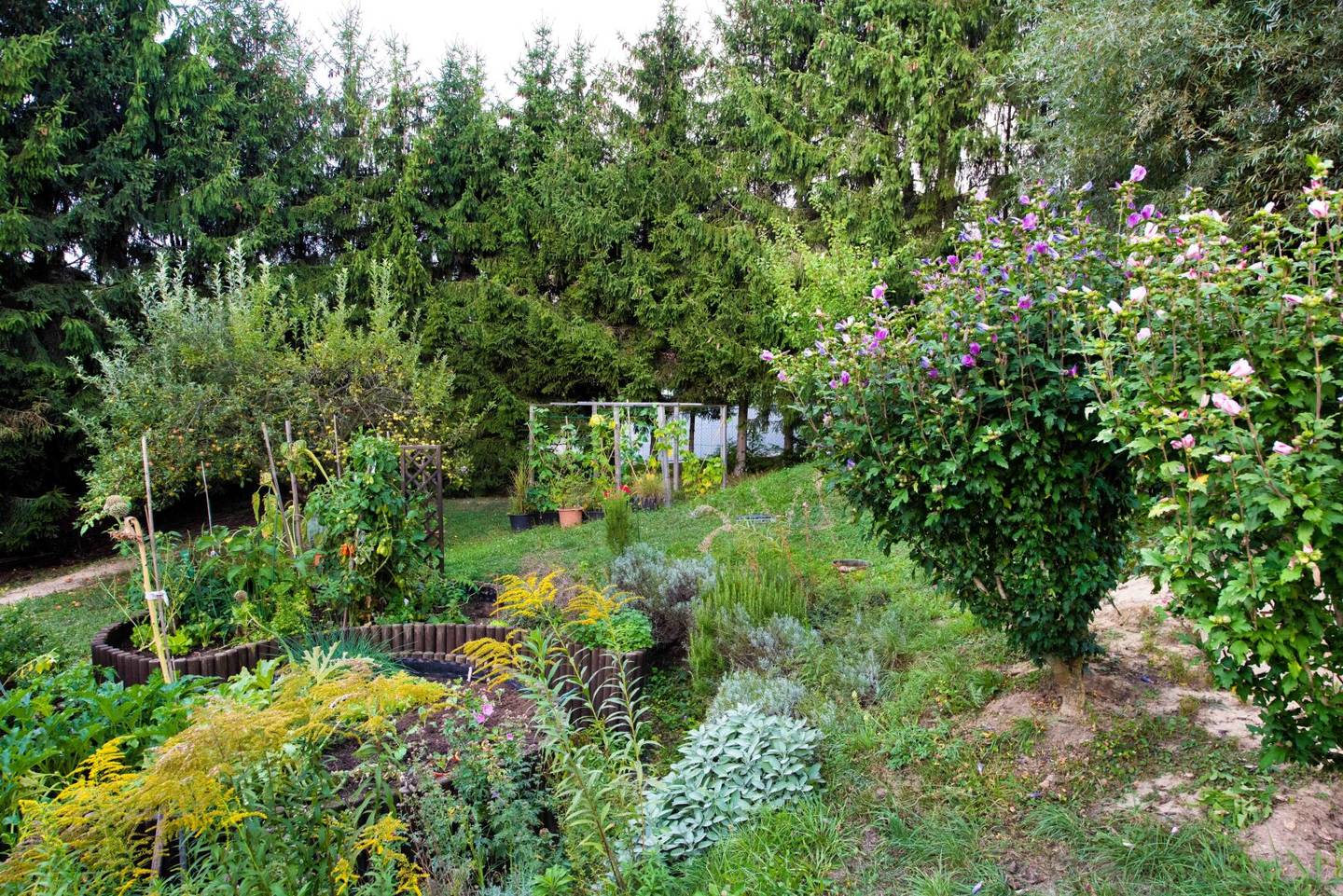 Niedrigenergiehaus mit Garten und Fernblick ins Grüne