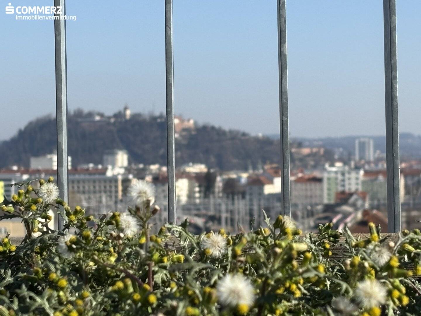 mietbarer Garten
