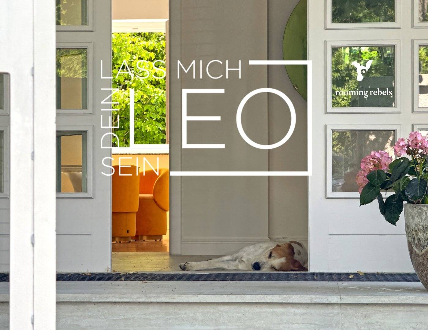 I want to be your Leo Villa 10 Rooms Indoor Pool Spa Area and Garden