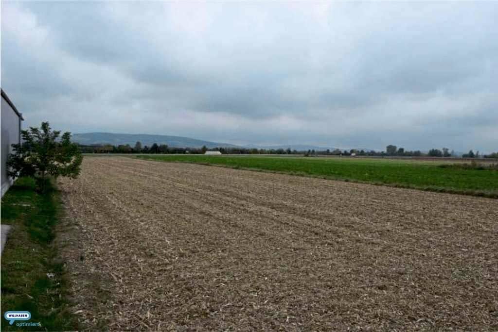 Tulln: Betriebsbaugrundstücke langfristig zu mieten (Baurecht möglich)