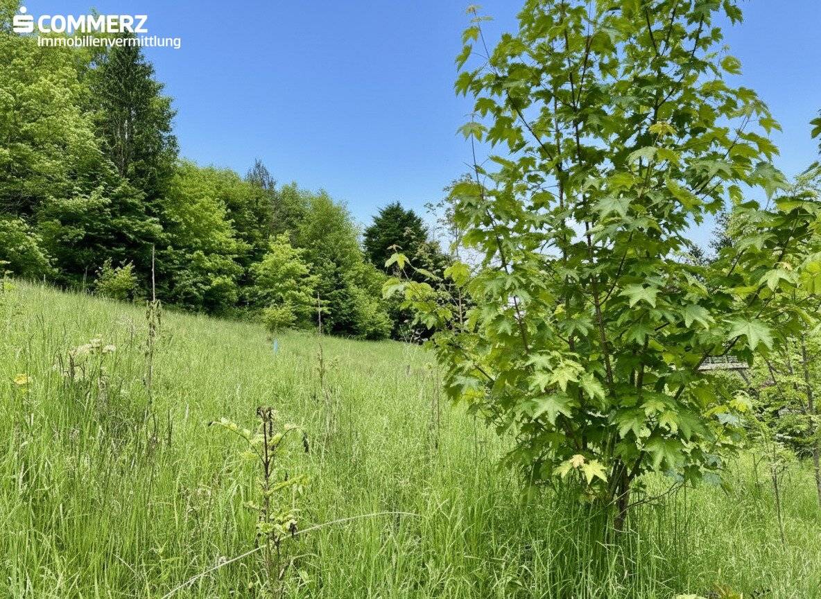 Leben am Sonnenhang
