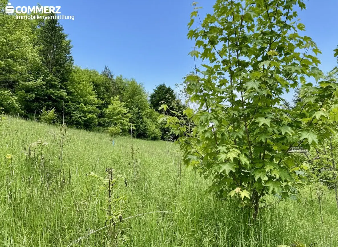 Life on the Sunny Slope