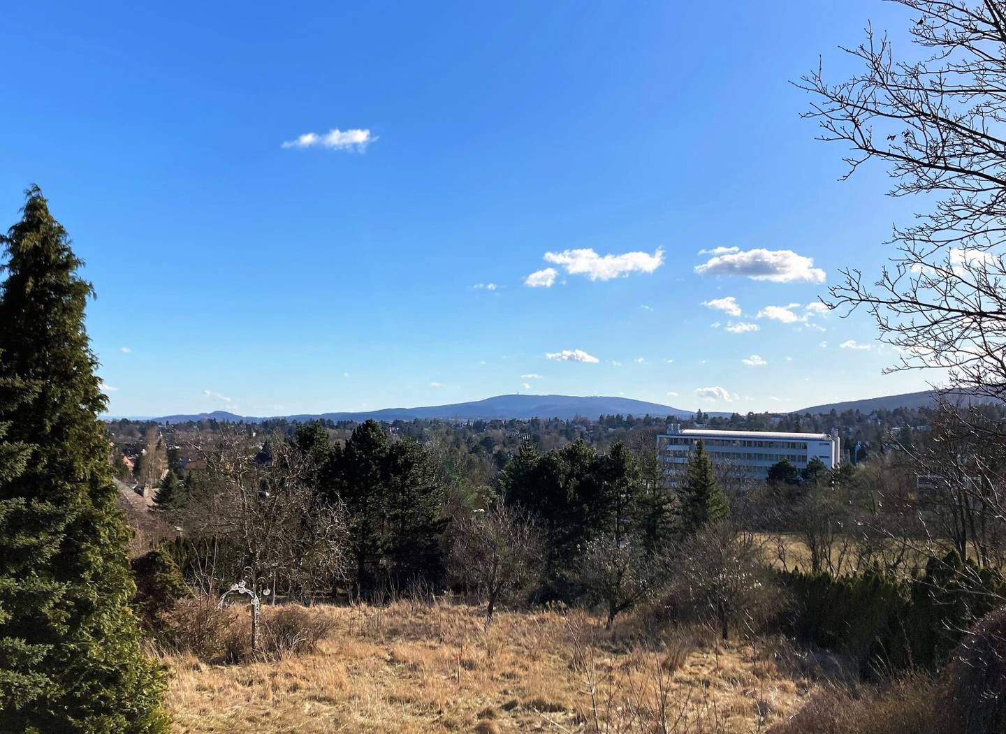 Ausblick vom Grundstück und den Wohnungen