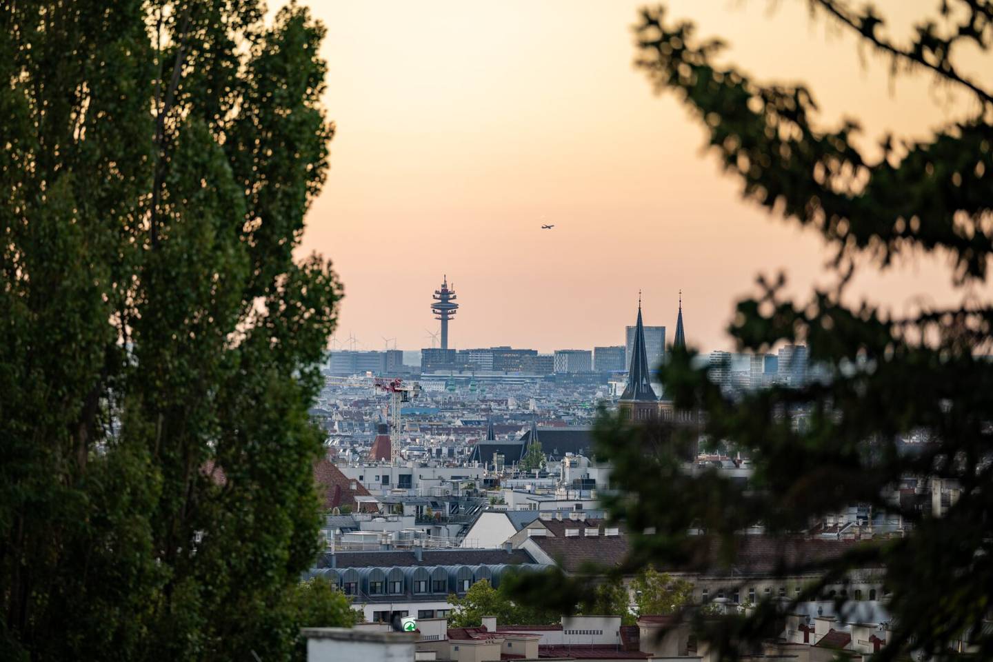 Exklusive Lage mit Blick über Wien: Traumgrund mit Baugenehmigung für 629m² WNFL