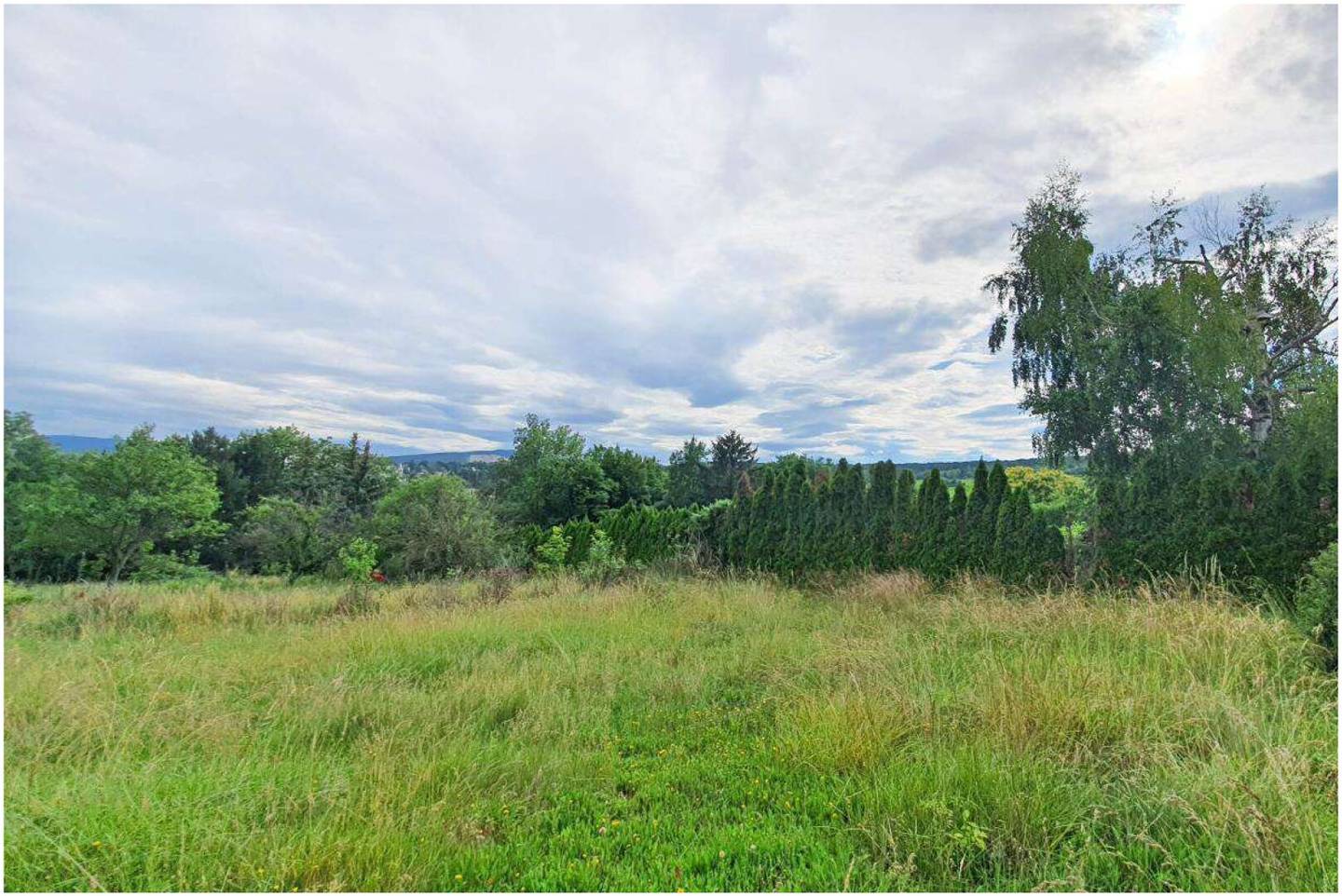 5,589 m² building permitted dream plot with 1,901 m² living area in 1230 Vienna / border with 1130 Vienna