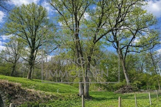 Idyllic 700 m² building plot at Sophienalpe in south facing position |pure_living